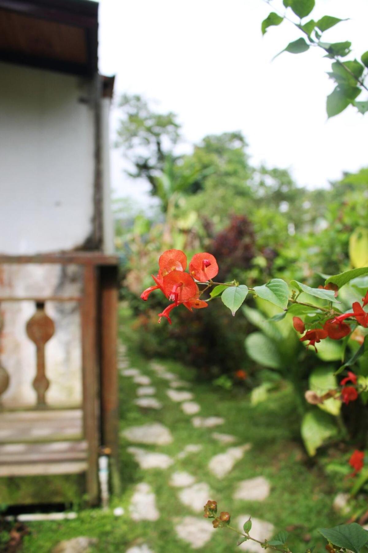 Fresh Weather In Colony, Sc By Drvacationsrental Cambita Garabitos Ngoại thất bức ảnh