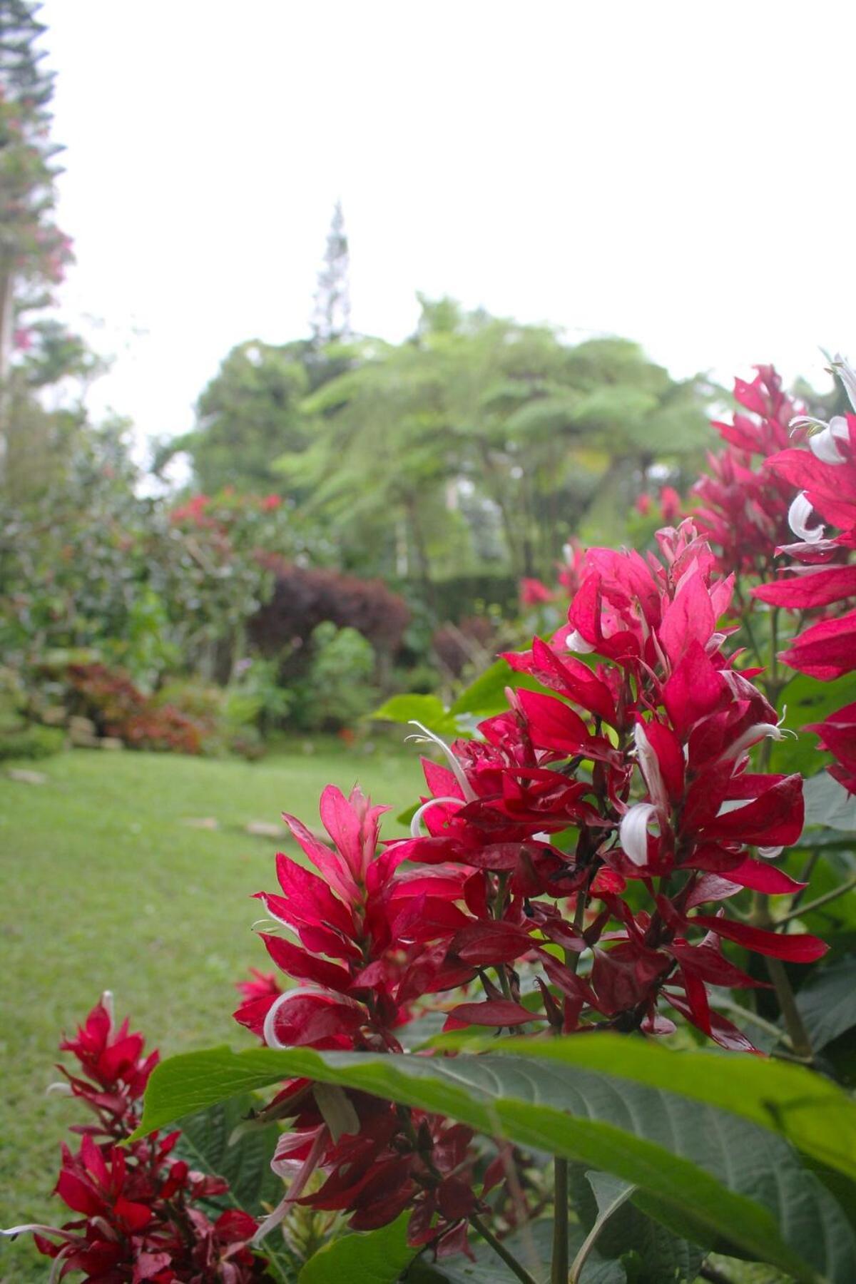 Fresh Weather In Colony, Sc By Drvacationsrental Cambita Garabitos Ngoại thất bức ảnh
